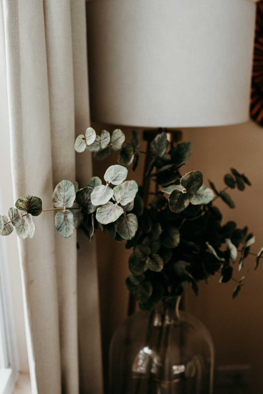 Eucalyptus in a vase by a window