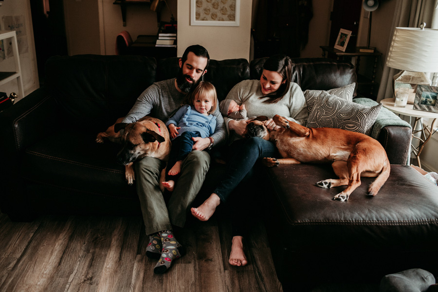 A family snuggling on a couch with their dogs